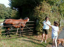 Marie - "Is that how big your dog was before the bike ride ?"