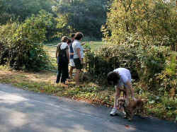 Marie - "Only another 4 miles to go, girl"