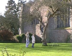 Hannah up a tree